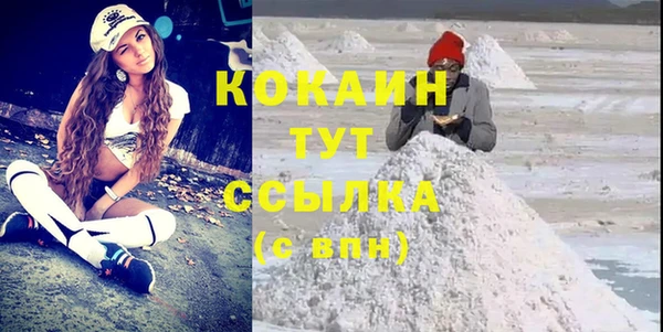 шишки Абаза