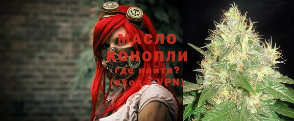 шишки Абаза