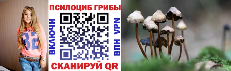 где продают   Бавлы  Псилоцибиновые грибы мицелий 